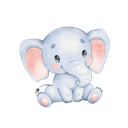 Daxiang Forever Free VPN, 巨象永久免费翻墙加速器